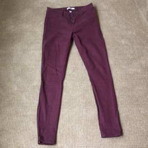 Refuge Purple/maroon pant